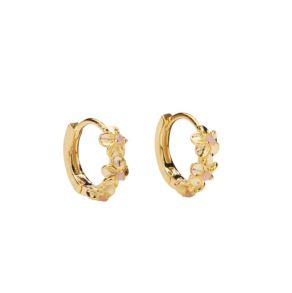 M01012-Powderopac Pico Aster